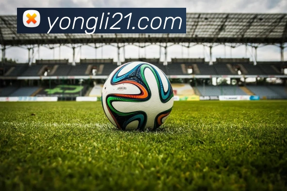 互动解说服务